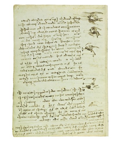 Códice sobre el vuelo de los pájaros, Folio 8 verso de Leonardo da Vinci